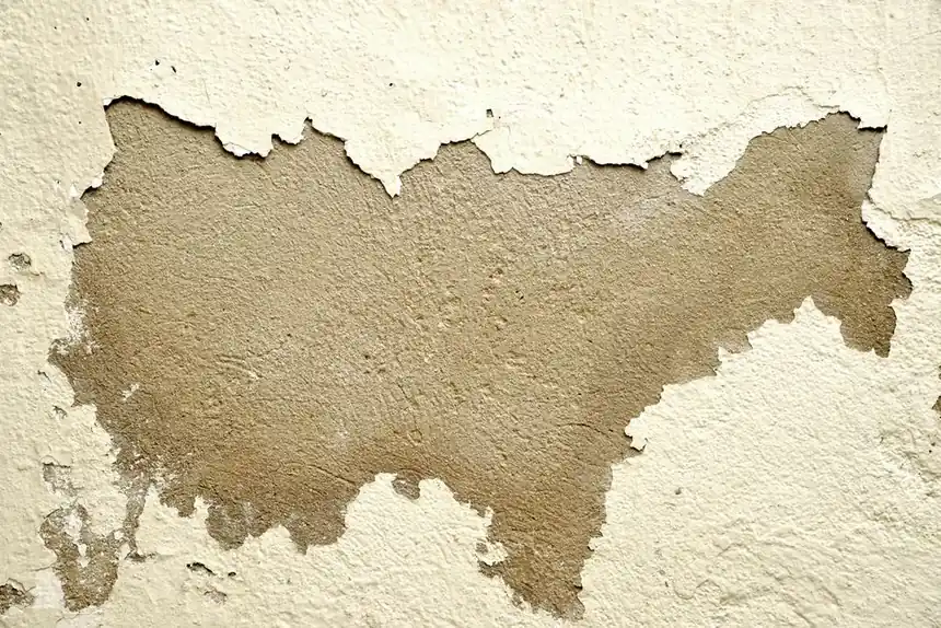 Structural Drying